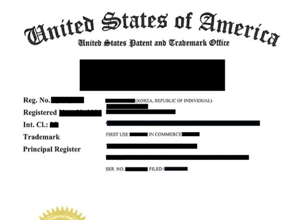 Intellec 1 — Song Law Firm