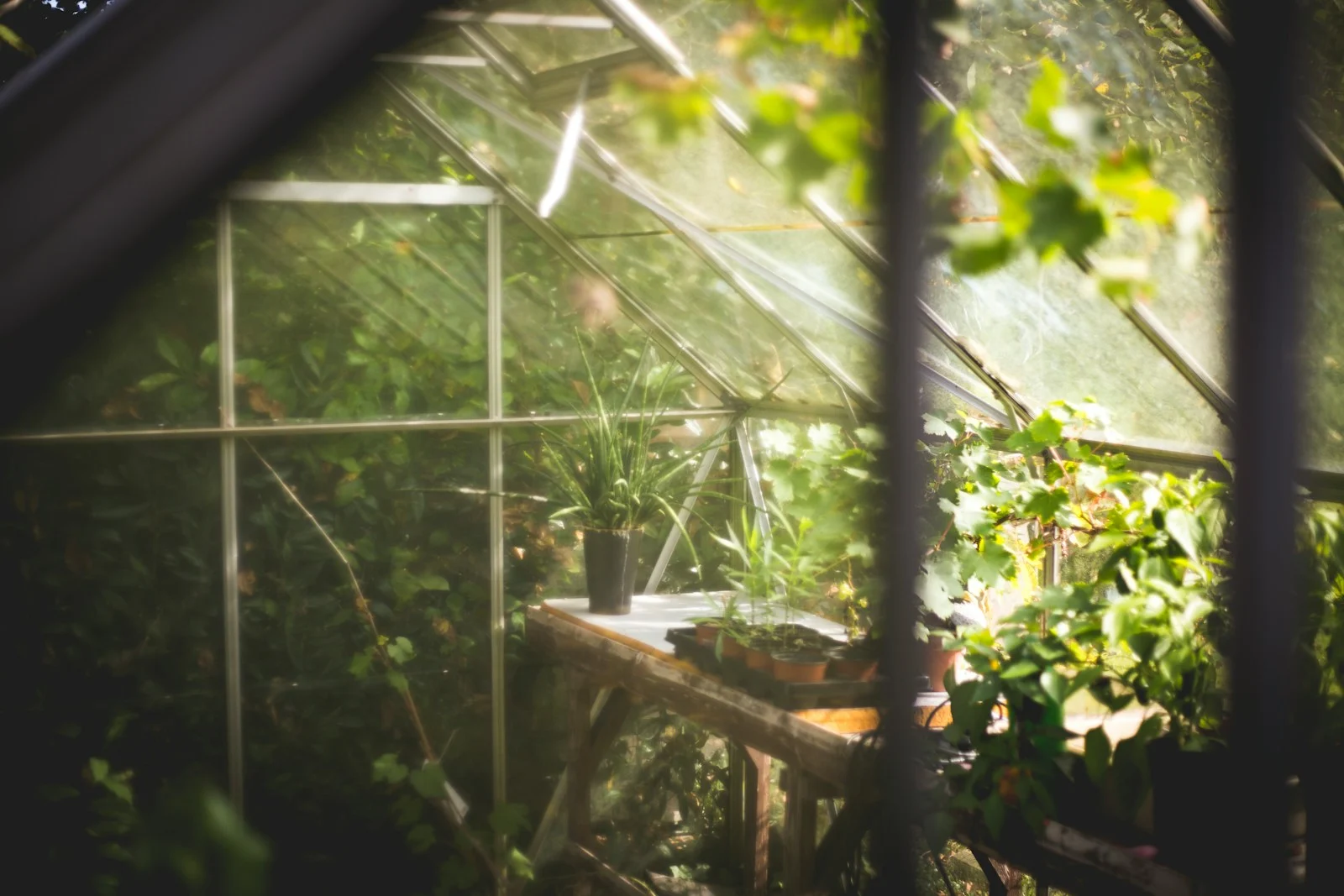 [O-1B] Landscape Designer Visa Approved