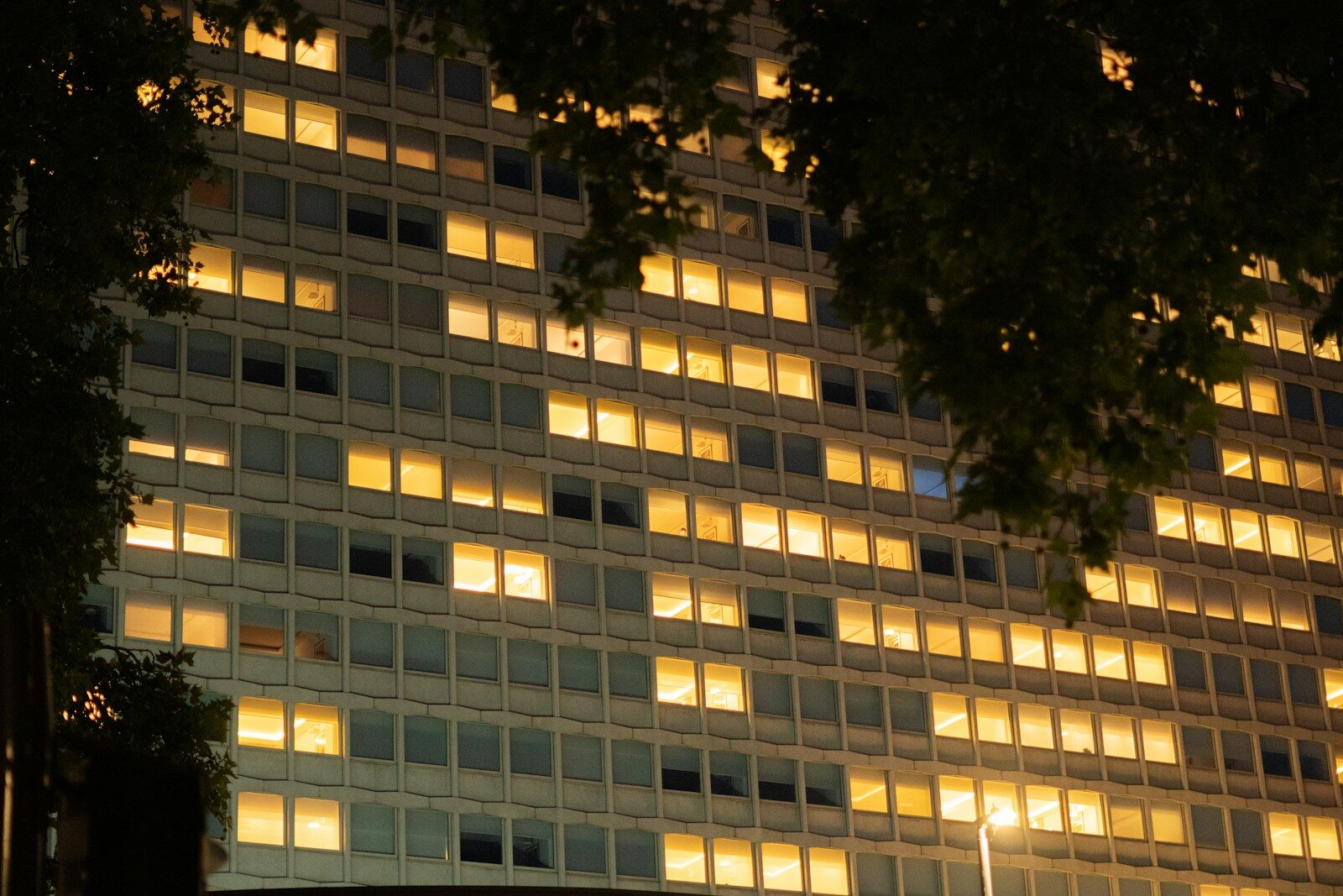 야근 수당, 노동법 변호사